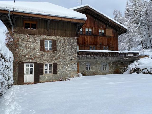 The Nest Villa Les Gets Exterior foto